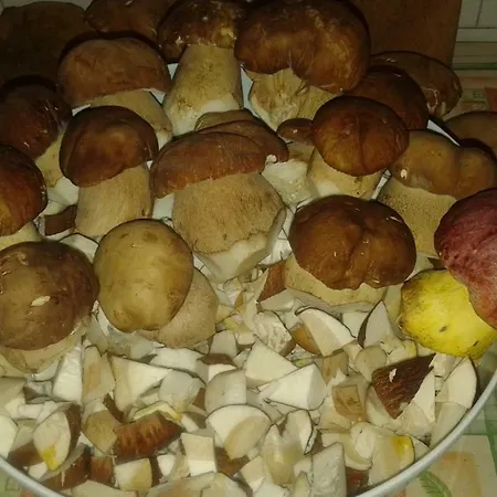 Appartamento Antico Restauro *