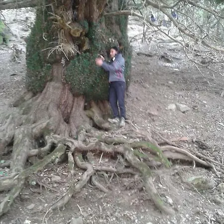 Lägenhet Antico Restauro Fonni